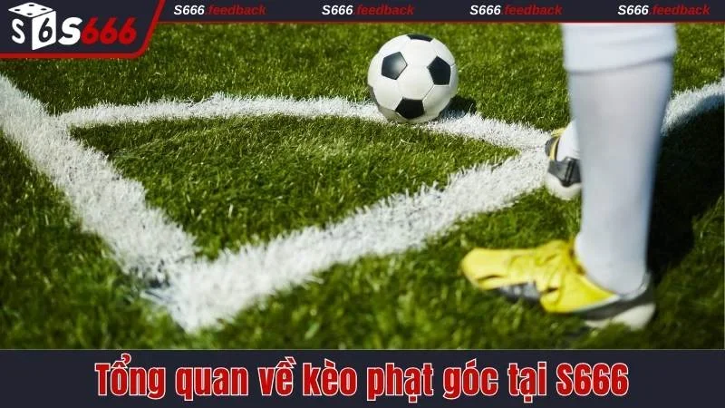 Đôi nét về kèo phạt góc S666
