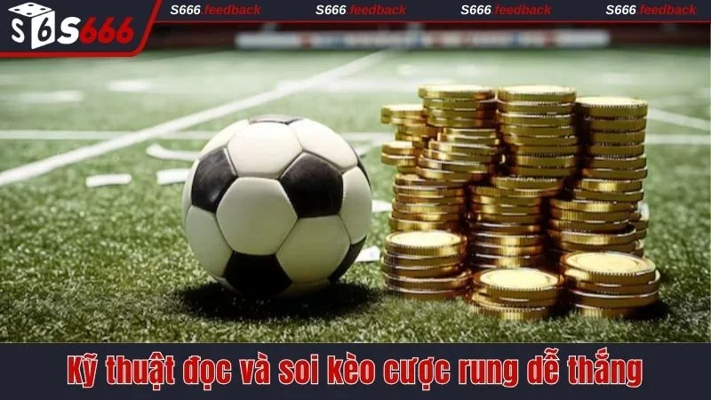 Kỹ thuật đọc và soi kèo cược rung dễ thắng 