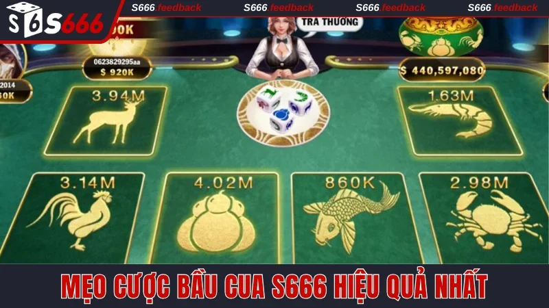 Mẹo cược bầu tôm cua hiệu quả nhất