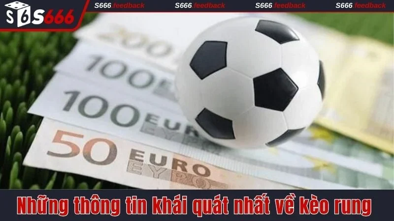 Những thông tin khái quát nhất về kèo rung 