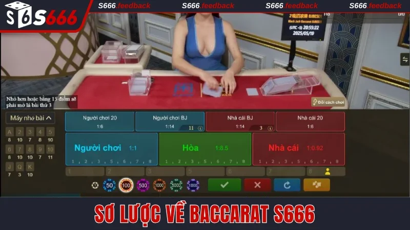 Sơ lược về Baccarat S666