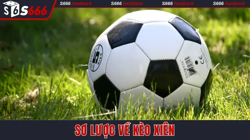 Sơ lược về kèo xiên