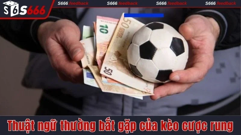 Thuật ngữ thường bắt gặp của kèo cược rung 