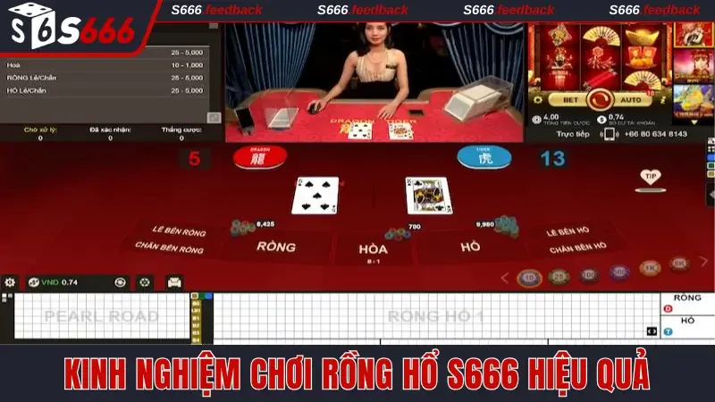 Tips cược Dragon Tiger cực hiệu quả